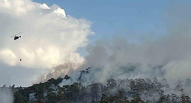 Eskişehir'de 7 saattir devam eden orman yangınına müdahale sürüyor