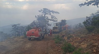 Eskişehir'de çıkan orman yangını kontrol altına alındı