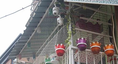 Eskişehir'de ilginç balkon görüntüsüyle sokağa değişik hava katıyor