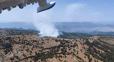 Eskişehir'de orman yangını