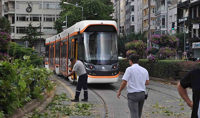 Eskişehir'de rüzgarda kırılan dal tramvay seferlerini aksattı