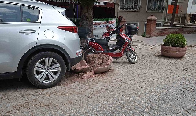 Eskişehir'de şanssız beton saksı yine hedef oldu