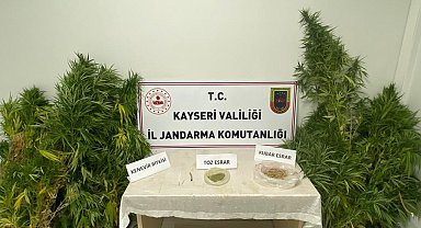 Evinde kenevir yetiştiren şahıs jandarmadan kaçamadı