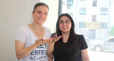 Gazetecilerden Ebabil kuşuna şefkat eli