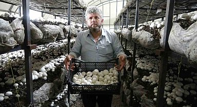 İki ayda 5-6 ton üretiyor, taleplere yetişemiyor
