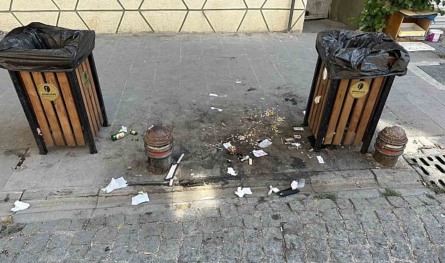 İki çöp kutusunun arasına atılan atıklar 'pes' dedirtti