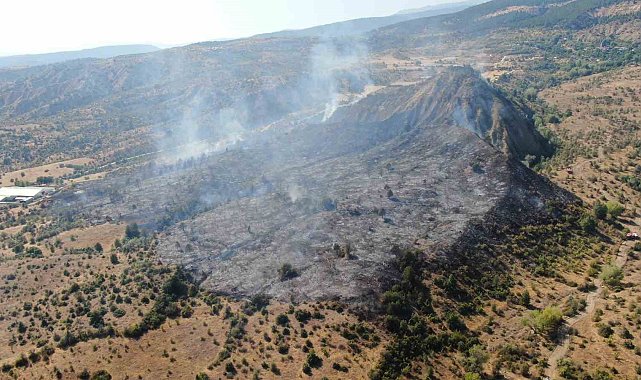 Ilgaz Dağı'ndaki orman yangını kontrol altına alındı: 15 hektar alan küle döndü