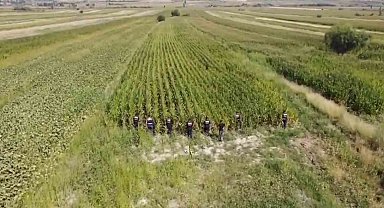 Jandarmadan mısır tarlasına "Dron" destekli uyuşturucu operasyonu: 2 gözaltı