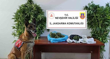 Jandarmadan uyuşturucu tacirlerine geçit yok