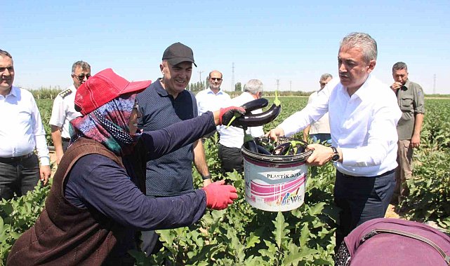 Karaman'da sebze üretimi artıyor