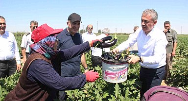 Karaman'da sebze üretimi artıyor