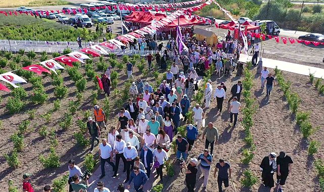 Keçiören'de Lavanta ve Gül Bahçesi'nde hasat yapıldı