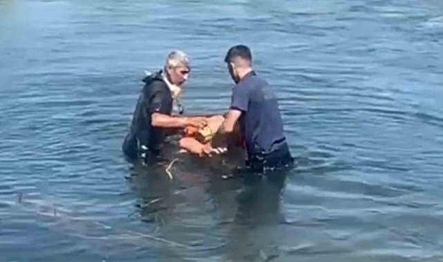 Kızılırmak'a serinlemek için giren genç az kalsın canından oluyordu
