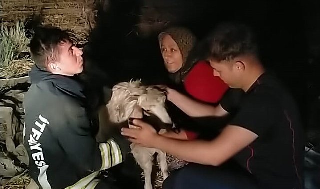 Konya'da 12 metrelik kuyuya düşen keçiyi itfaiye kurtardı