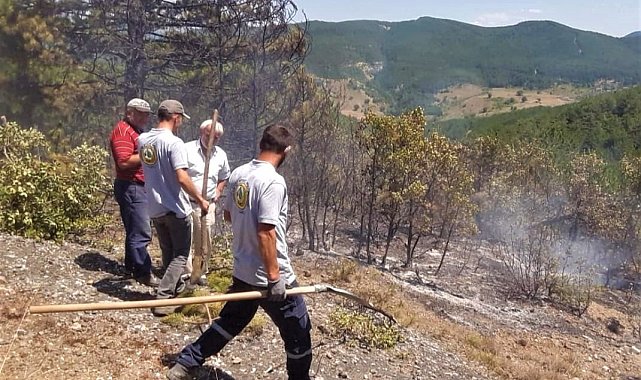 Köylülerin müdahalesi ormanı yanmaktan kurtardı