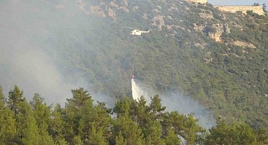 Mersin'de dünyaca ünlü vadide çıkan orman yangını söndürüldü