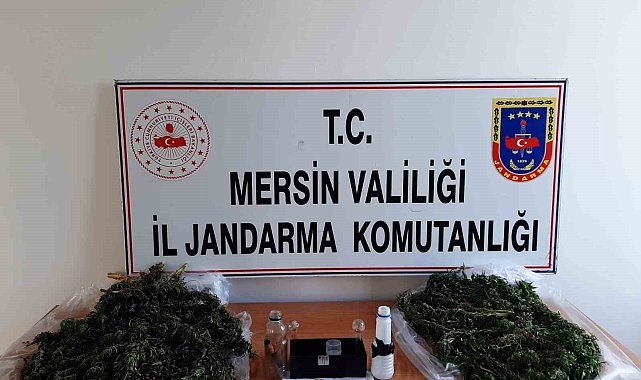 Mersin'de uyuşturucu operasyonu: 2 gözaltı