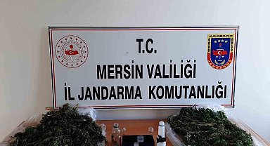 Mersin'de uyuşturucu operasyonu: 2 gözaltı