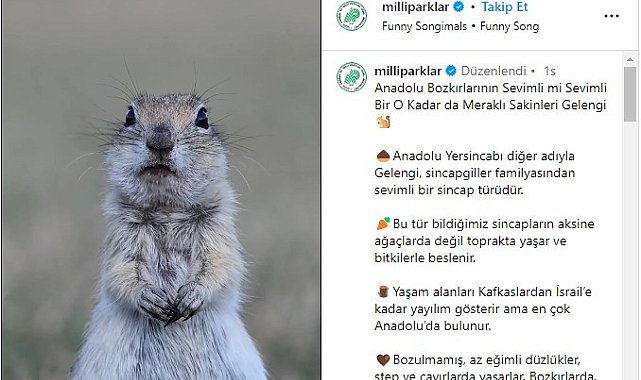 Milli Parklar'ın Anadolu yersincabı paylaşımı beğeni topladı