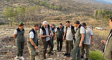 Orman Genel Müdürü Karacabey: "Ciğerlerimiz yanmasın diye lütfen azami dikkat edelim"