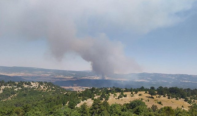 Ormana sıçrayan anız yangını yerleşim yerlerine doğru ilerliyor
