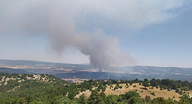 Ormana sıçrayan anız yangını yerleşim yerlerine doğru ilerliyor