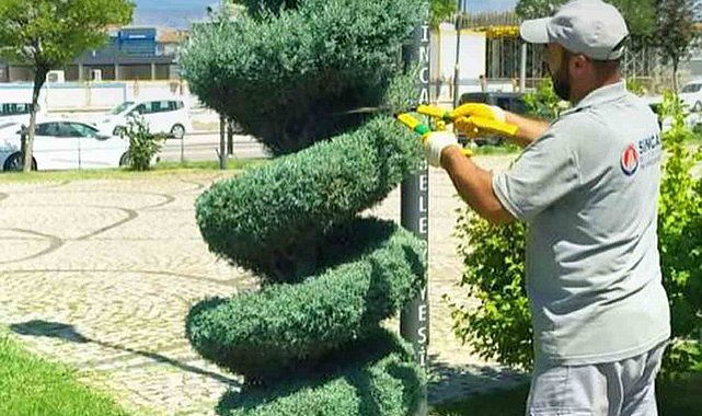 Sincan'da parklardaki ağaçlar görüntüleriyle görenleri kendine hayran bırakıyor