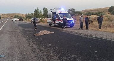 Sivas'ta trafik kazası: 1 ölü
