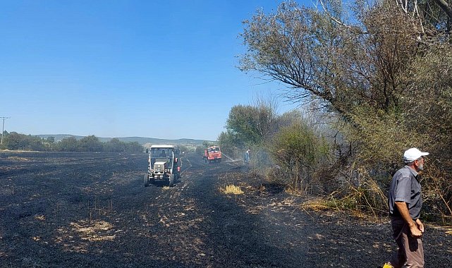 Tarla yangını ormana sıçramadan söndürüldü