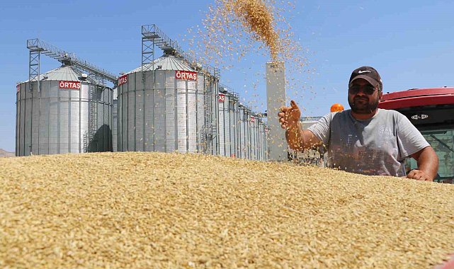 Türkiye'nin buğday ambarında yeni bir rekor bekleniyor