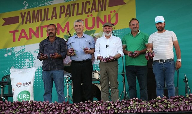 Yamula Patlıcan Festivali'ne 10 Binlerce Kişi Katıldı