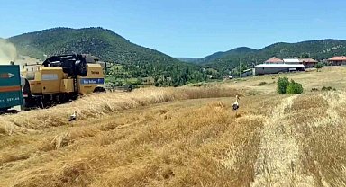 Yozgat'ta leylekler hasat edilen tarlalarda yiyecek arıyor