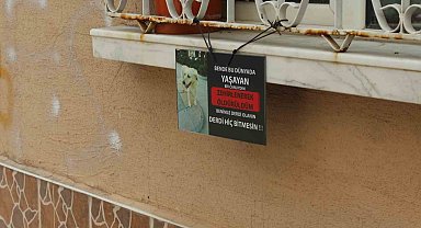 Zehirlenerek öldürüldüğü iddia edilen 'Kahraman' hayvanseverleri ayağa kaldırdı