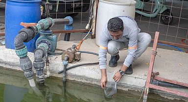 10 bin sulama göletine binlerce 'Lepistes' balığı bırakıldı