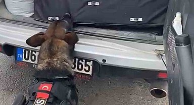 43 ilin geçiş güzergahında uyuşturucuya geçit yok: 36 kilogram 'skunk' ele geçirildi