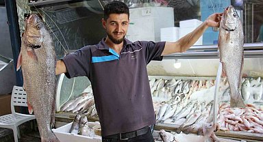Akdeniz'de de sezonun açılmasıyla tezgahlar balıkla doldu
