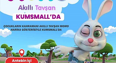 Akıllı tavşan Momo, KumsMall AVM'ye geliyor