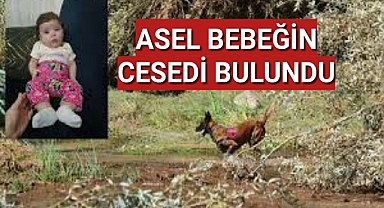 Asel bebeğin cansız bedeni bulundu