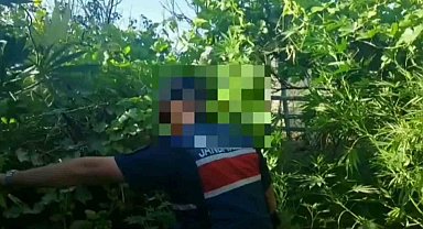 Aksaray jandarmadan kenevir operasyonu