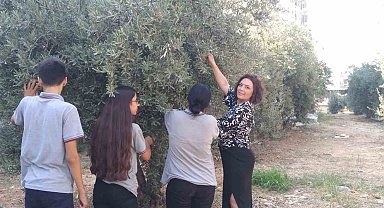 Arkadaşlarına destek için zeytin hasat ettiler