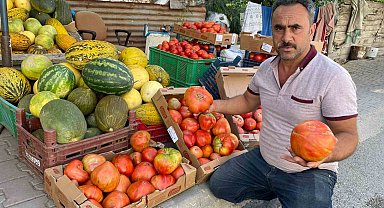 Ata tohumundan üretilen 1 kiloluk domates ele avuca sığmıyor