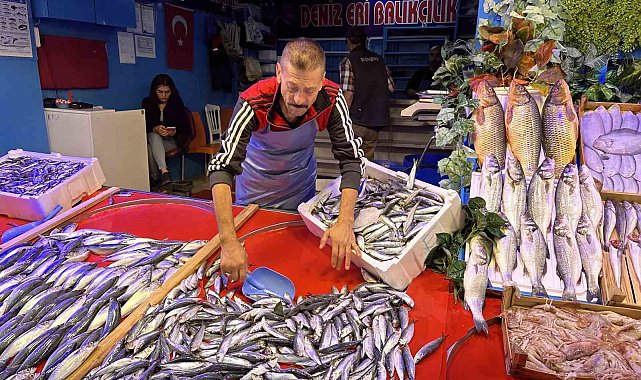 Balık sezonu açıldı tezgahlar renklenmeye başladı