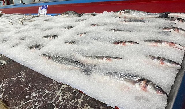 Balıkçılar yeni sezondan umutlu