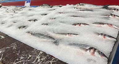 Balıkçılar yeni sezondan umutlu