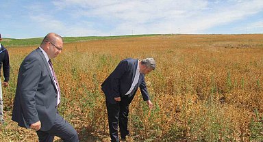 Başkan Altun ve Kaymakam Gülen'den ihtiyaç sahipleri için Aspir hasadı