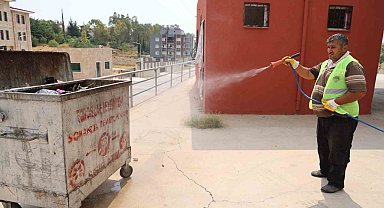 Başkan Yılmaz: "Narenciyeye büyük zarar veren Akdeniz meyve sineği ile mücadele ediyoruz"