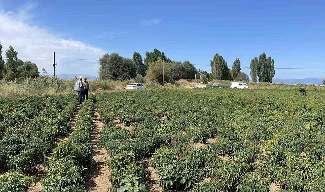 Beyşehir'de çiftçiler ürün zararlılarına karşı bilgilendiriliyor