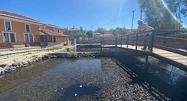 Binlerce asker balığının salındığı göl turizme kazandırılacak