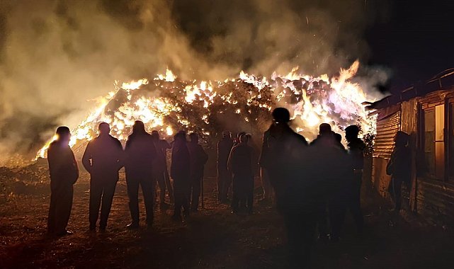 Çankırı'da 6 bin saman balyası küle döndü