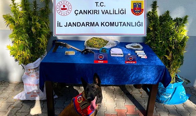 Çankırı'da uyuşturucu operasyonu: 2 gözaltı